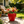 15'' Tall Strawberry Shaped Planter Pot