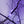 3 Pc Illuminated Halloween Tree with Purple LED Glow