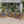 Outdoor Acacia Wood Club Wooden Armchair with Cushions (Set of 4)