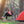 Foldable Camping Chair Heavy Duty Steel Lawn Chair Padded Seat Arm Back Beach Chair 330LBS Max Load with Cup Holder Carry Bag