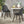 Posey Chair (Set of 2)