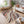 Jewel GC_STU3021 Rug