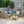 Oana Outdoor Wooden Sectional Set with Cushions, Dark Grey