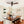 Low Profile Ceiling Fan DC, 3 Blade, Noiseless Reversible Motor, Remote Control