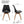 Medieval - Dining Chair (Set of 4)