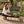 19x11x24