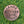 Chambers Bay Lone Fir Ball Marker