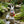 Charming Hand-Painted Rabbit Garden Statue