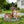 Cute Cat Planter Statue Garden Decor