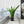 Handmade Garden Pots & Planters