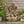 24.75' High Callan Fountain Weather Resistant Floor Fountain with Light