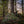 Hunting Blind - Mossy Oak Obsession 3D Leafy