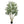 Artificial Olive Tree Large With Trunk, Indoor / Outdoor Decorative Plant For Living Room - Green