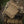 M-Tac Closed Pouch M249 Ammo Box