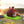 Self Inflating Folding Camping Sleeping Mattress with Carrying Bag