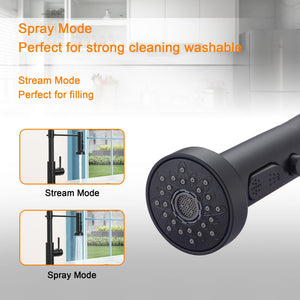 16.9" Kitchen Sink Faucet With Separate Handle And Pull Down Sprayer, Lead Free Brass - Matte Black
