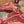 Premium Beef BBQ Rub