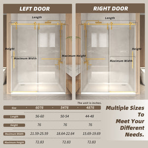 44-48" x 76" Frameless Sliding Shower Door