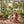 Wooden Kid's Adirondack Chair for Indoor and Outdoor Use