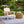 2 Pack Outdoor Lumbar Pillow Covers - Red Tropical