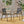 Belfast Dining Chair with Acacia Wood Frame and Mesh Seating (Set of 2)