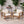 Outdoor Club Chairs (Set of 2), Acacia Wood Frame with Rope Back, Water-Repellent