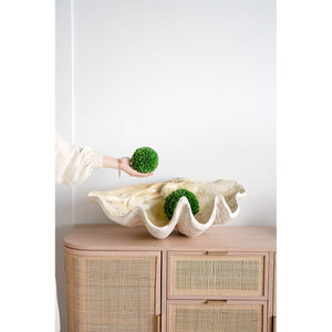 Large Clam Shell Accent 25.3x16.5x8.5"
