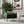 Cole - Solid Wood Lounge Chair