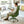 Ergonomic Colorful Office Chair