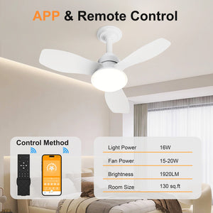 24.4" Modern Ceiling Fan with Light