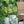 13x13x18 Ceramics Garden Stool Jungle-Themed Accent Side Table