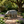 12.6'' Weather Resistant Hippopotamus Garden Statue