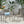 Outdoor Modern Aluminum Dining Chair Set With Rope Sea (Set of 2)