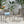 Outdoor Modern Aluminum Dining Chair Set With Rope Sea (Set of 2)
