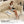 3-In-1 Convertible Sleeper Sofa