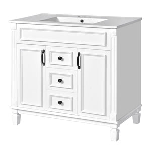 Bathroom Vanity With Top Sink and Soft-Closing Storage