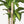 5' Artificial Dracaena Tree