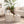 Beige Nesting Coffee Table Set of 2 Modern Drum Side Tables