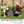 Large Garden Bed For Outdoor