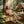 5-Position Adjustable Reclining Camping Chair