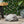 Outdoor Turtle Statue