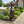 Greyhound Dog Statue