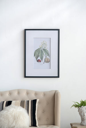 19.7x27.6 Botanical Wall Arts, Set of 2