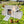 Large Wooden Chicken Coop Outdoor Hen House with Nesting Boxes