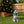 Christmas Poodle Statue, Holiday Dog Figurine