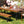 GO Outdoor Wood Dining Set For 7-8 Persons