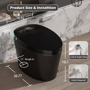 Smart Toilet with Bidet Built-in, Heated Seat, Warm Water & Remote Control