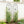 2 Pack Metal Garden Trellis 86.7