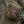 M-Tac Patch GLock 3D PVC