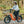 YOUNG Electric E-Flow 750W Folding eBike